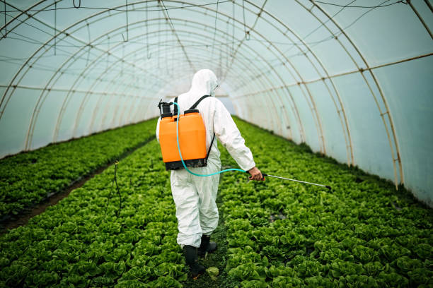 Best Pest Control Near Me  in Glendora, CA