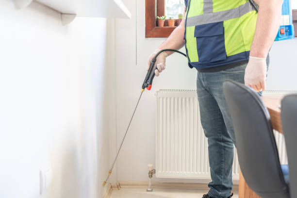 Wasp Removal Services in Glendora, CA