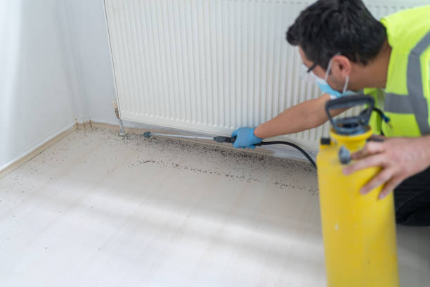 Best Pest Control for Businesses  in Glendora, CA