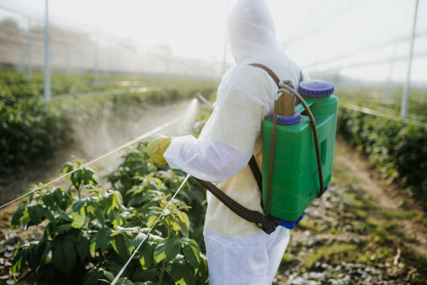 Best Pest Prevention Services  in Glendora, CA